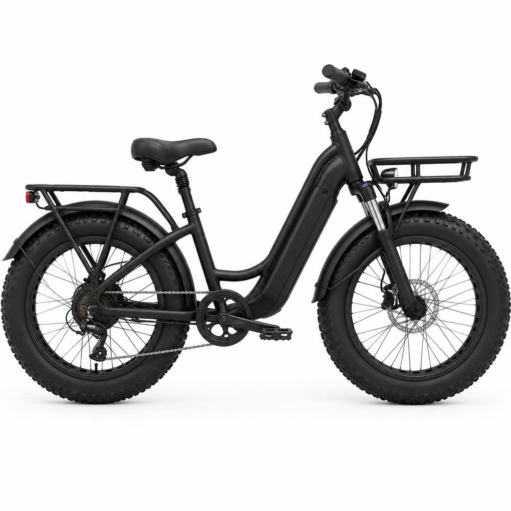 Engwe Engwe L20 fatbike met lage instap — 250W, 48V 13Ah, 20 inch fatbikes vooraanzicht